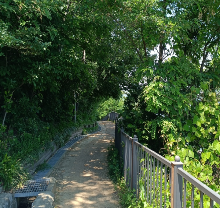 증미산산