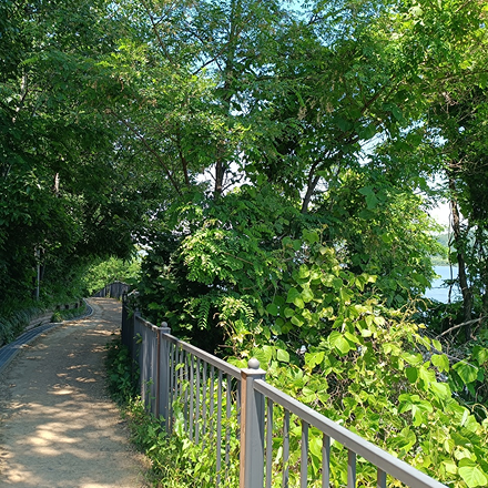 증미산